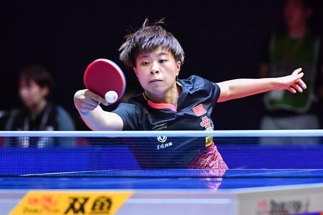 球坛风云杨 球坛风云杨