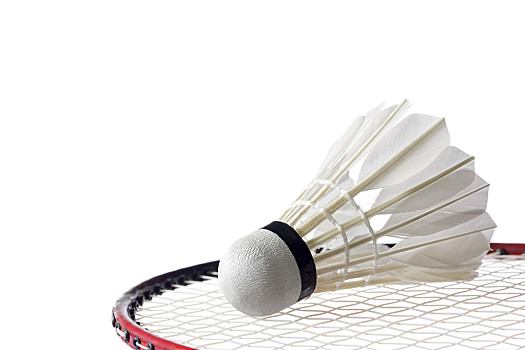 库里可以更 库里可以更